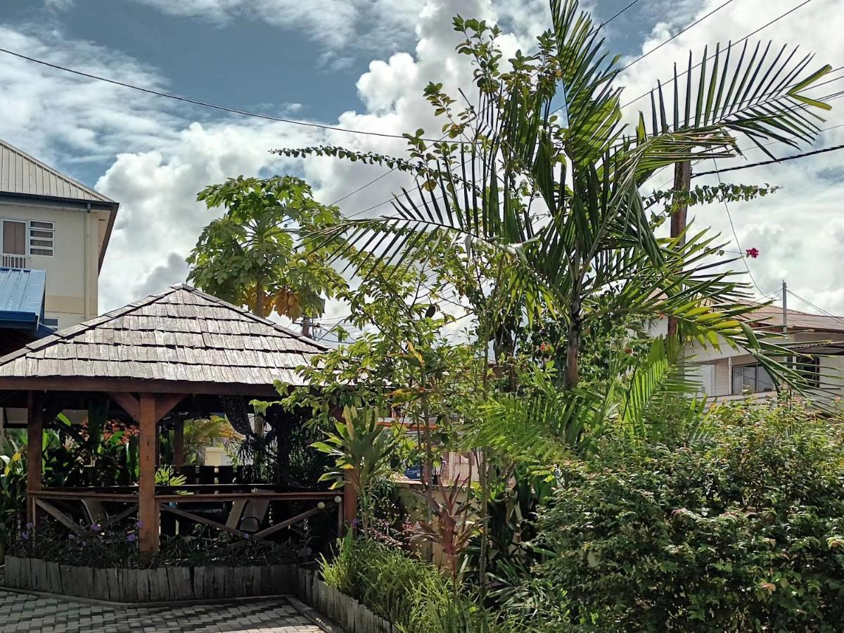 Max Garden And Pool Apartment Paramaribo Exterior photo
